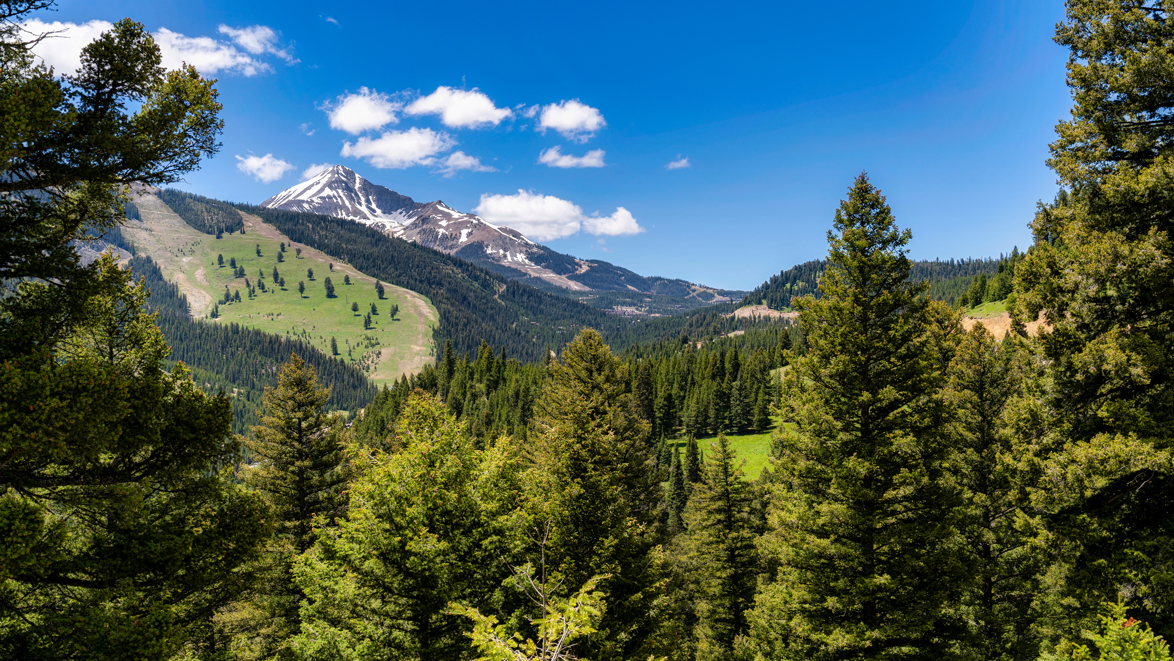 Finding your Montana home