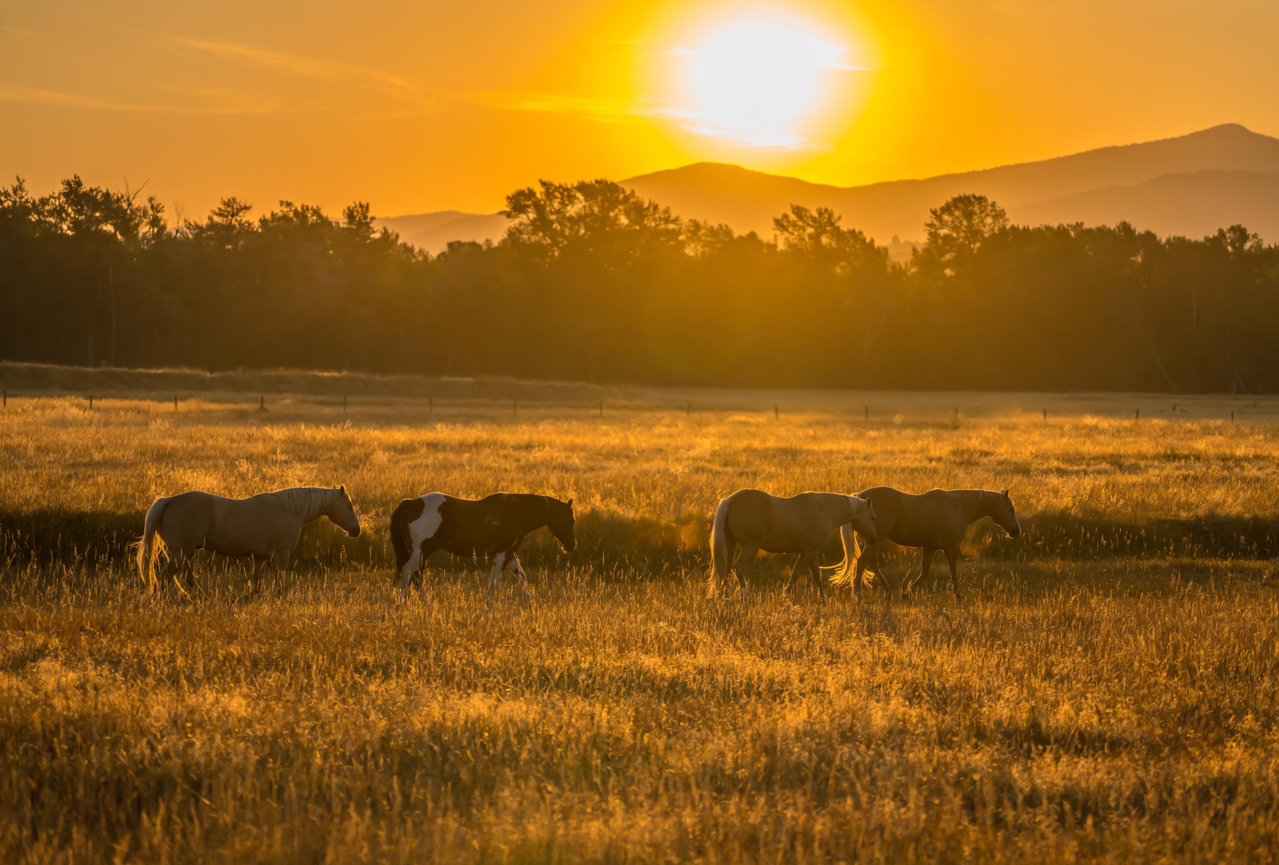 Get pre-approved for a Montana home