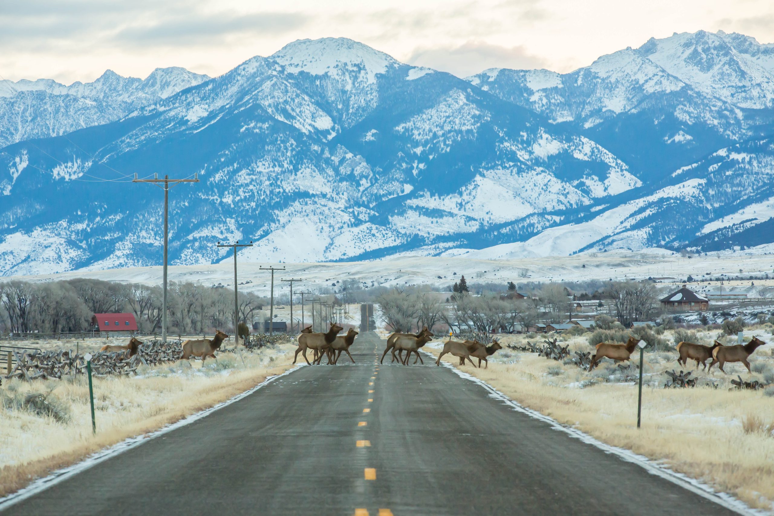 Montana communities